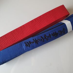 REPLACEMENT BELT