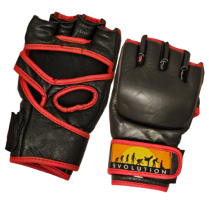 Evolution MMA mitts.